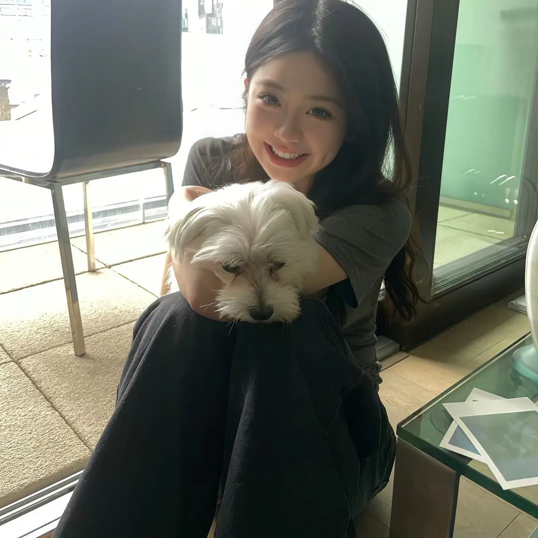 有趣的小兔子